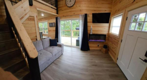 New! Pine Ridge Tiny Cabin with Hot Tub!